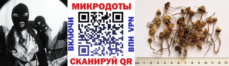 Псилоцибиновые грибы Magic Shrooms OMG как войти Кыштым
